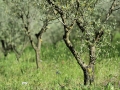 _DSC4020 def.jpg
